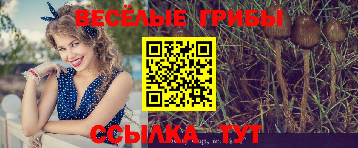 Галлюциногенные грибы MAGIC MUSHROOMS  Вход с VPN  Галлюциногенные грибы MAGIC MUSHROOMS  Похвистнево 